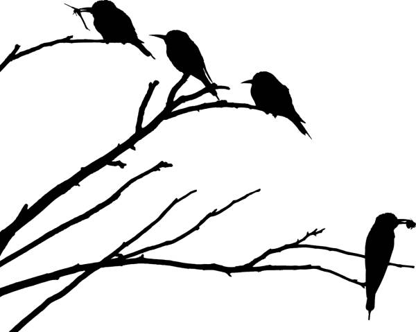 animals birds branches european  svg vector cut file
