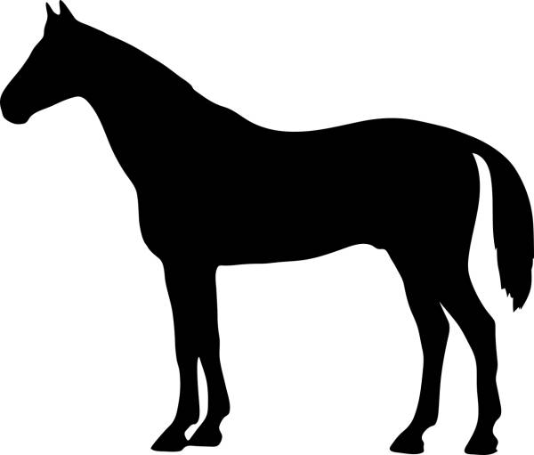 horse konik animal is contour  svg vector cut file
