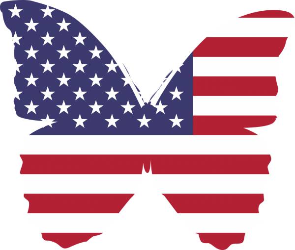 america butterfly flag flying  svg vector cut file
