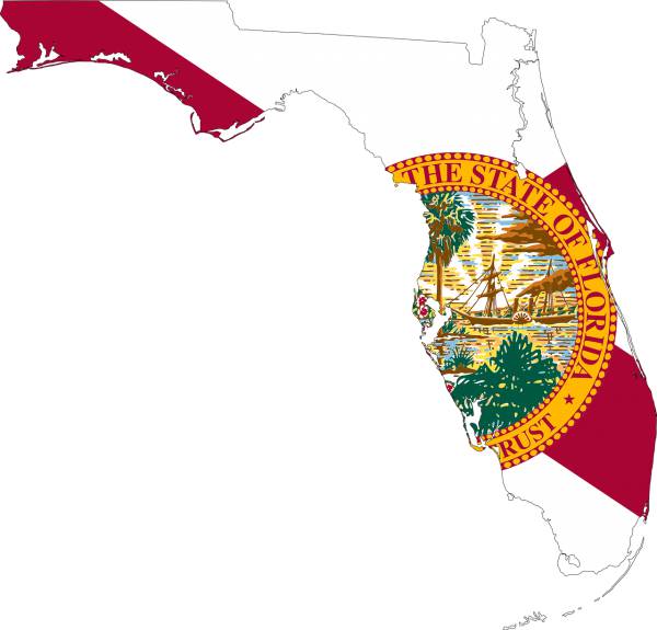 america flag florida art border  svg vector cut file