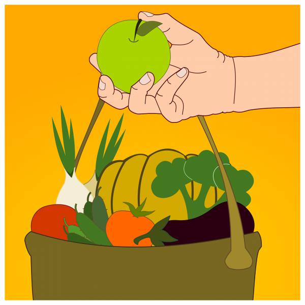 apple fruit vegetable healthy  svg vector cut file