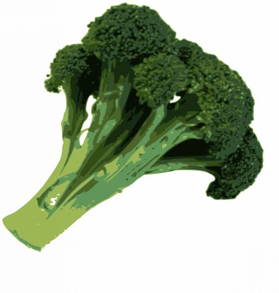 broccoli food green healthy  svg vector cut file