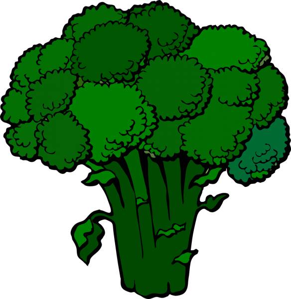 broccoli green fresh food  svg vector cut file