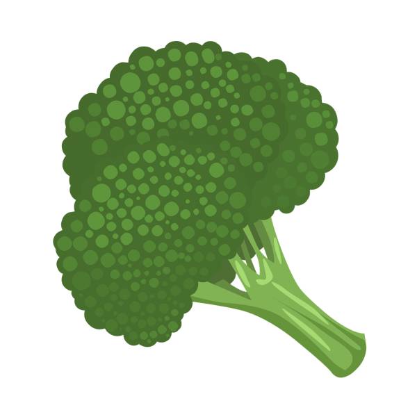 broccoli vegetable green food  svg vector cut file