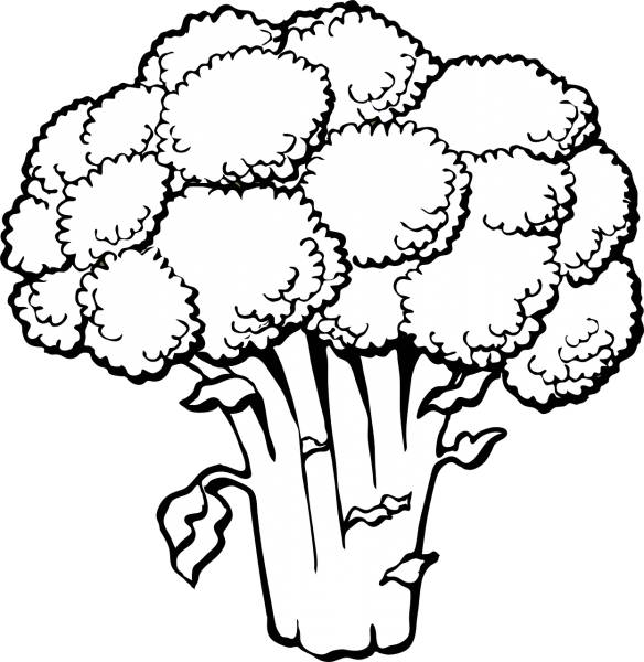 broccoli vegetables food fresh  svg vector cut file