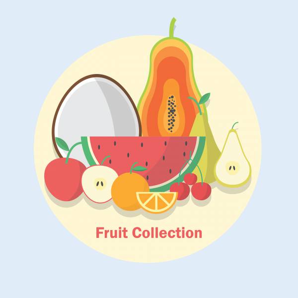 fruit collection apple organic  svg vector cut file