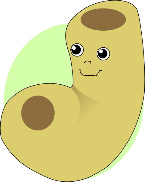 macaroni cartoon face funny happy  svg vector cut file