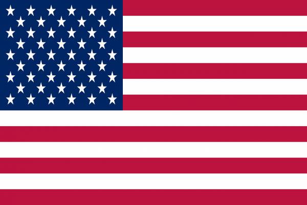 united states flag national flag  svg vector cut file