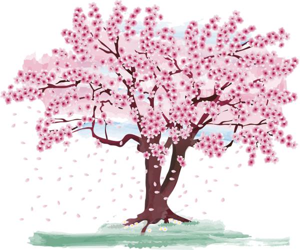 cherry blossom tree spring flowers  svg vector cut file
