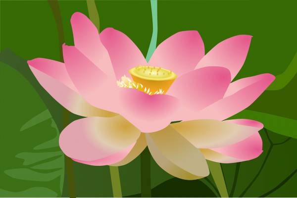 lotus flower plant petals  svg vector cut file