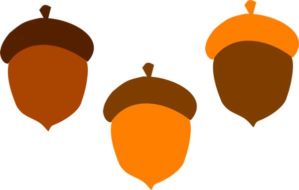 acorn brown fall food tree orange  svg vector cut file