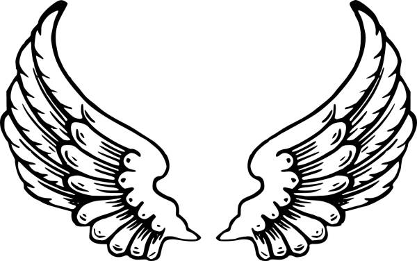 angel wings wings feathers  svg vector cut file