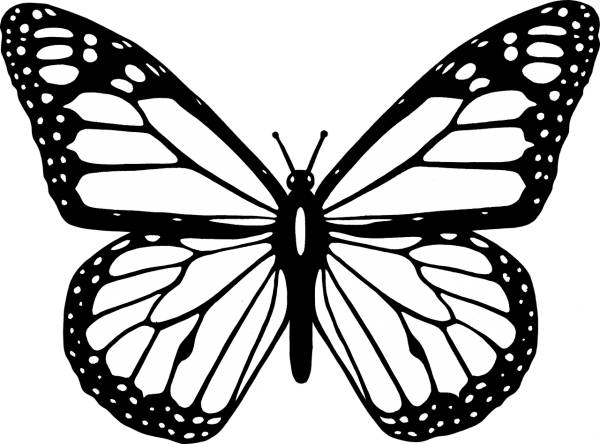 animal black butterfly flight fly  svg vector cut file