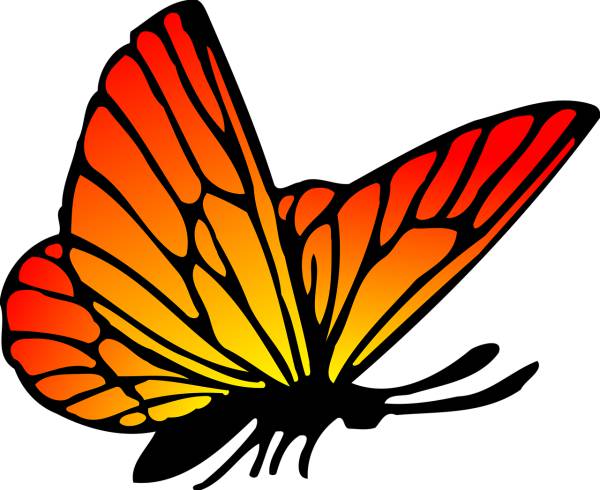 animal butterflies butterfly insect  svg vector cut file