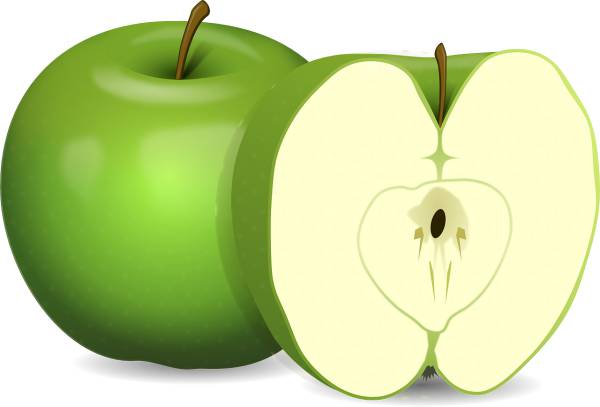 apple fruit food green apple sweet  svg vector cut file