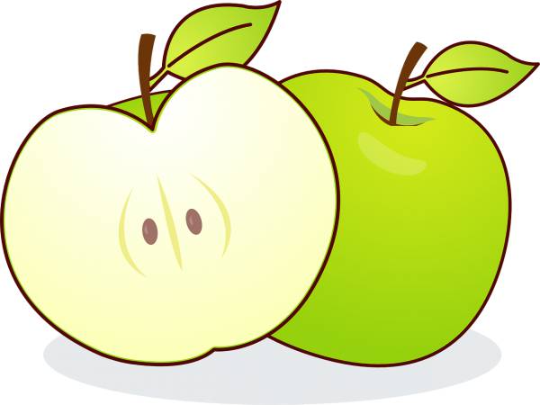 apple green apple fruit food slice  svg vector cut file
