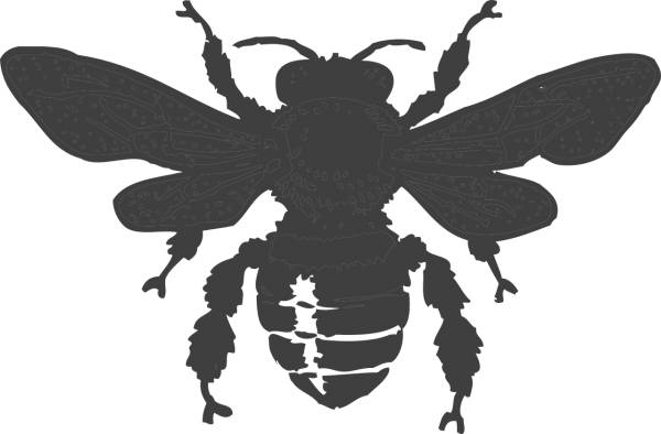 bee beehive honey nature dark  svg vector cut file