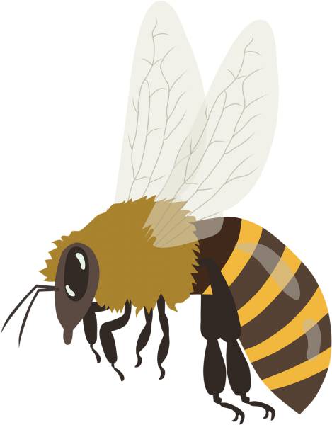 bee bumblebee honeybee insect  svg vector cut file
