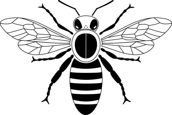bee fly honey insect wings bee  svg vector cut file