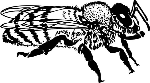 bee honeybee bugs insect pollen  svg vector cut file