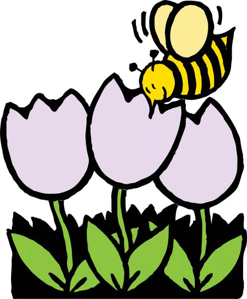 bees honeybee flowers white plants  svg vector cut file