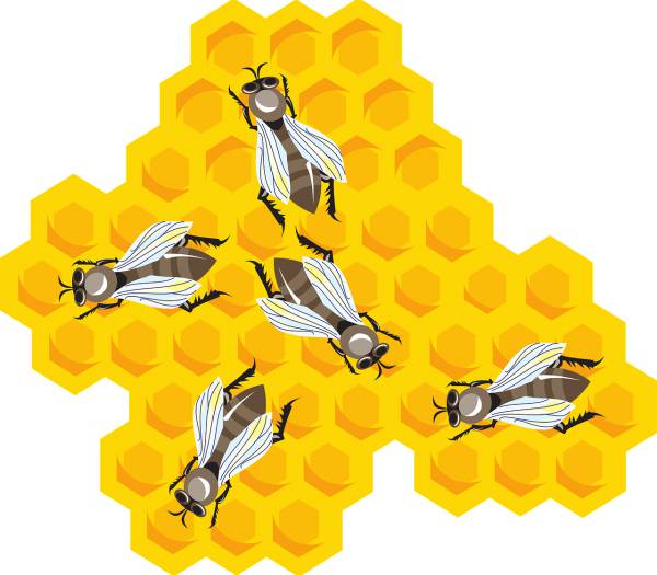 bees honeycomb combs honey wax  svg vector cut file