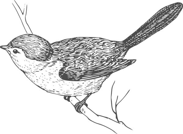 bird perching branch nature perch  svg vector cut file