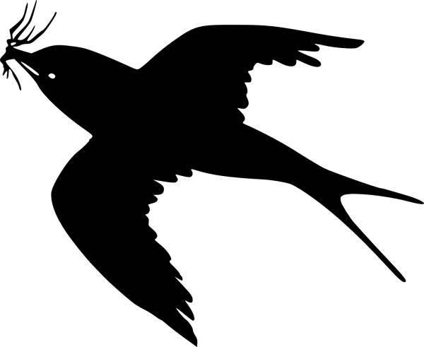 bird swallow silhouette black  svg vector cut file