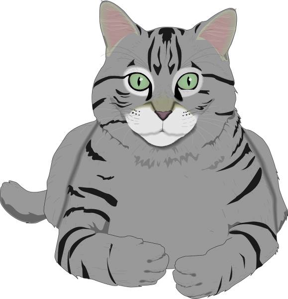 cat kitty gray tiger tabby pet  svg vector cut file