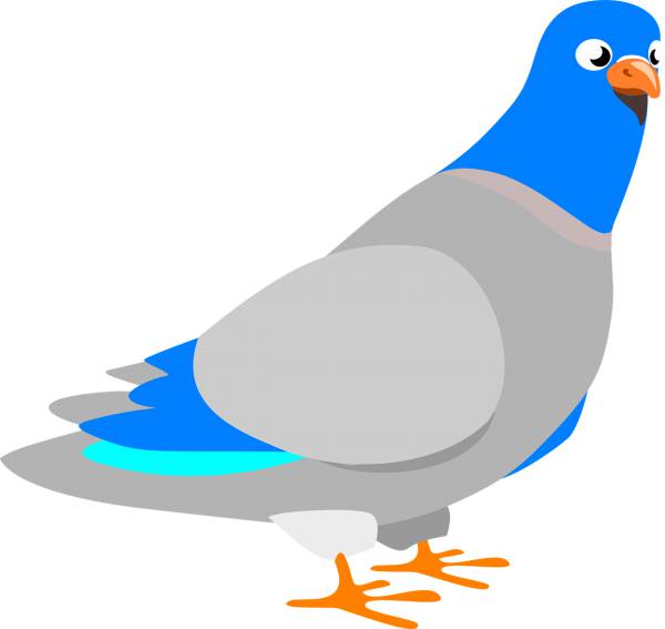 dove bird animal pigeon peace  svg vector cut file