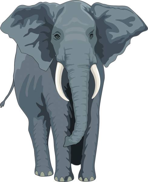 elephant animal trunk tusks wild  svg vector cut file