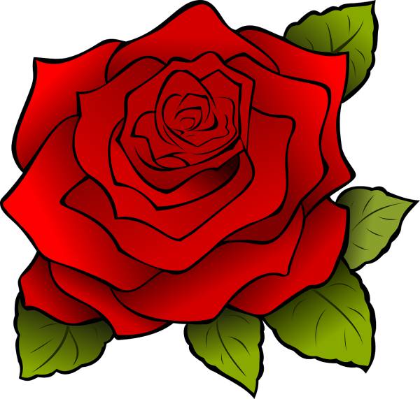 flower rose plant red rose  svg vector cut file