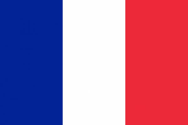 france flag national flag nation  svg vector cut file
