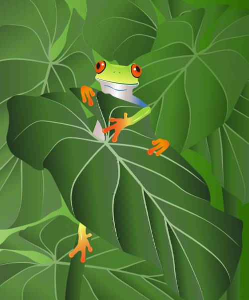 frog tree frog leaves amphibian  svg vector cut file