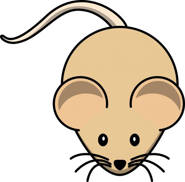 gerbil mouse rodent brown animal  svg vector cut file