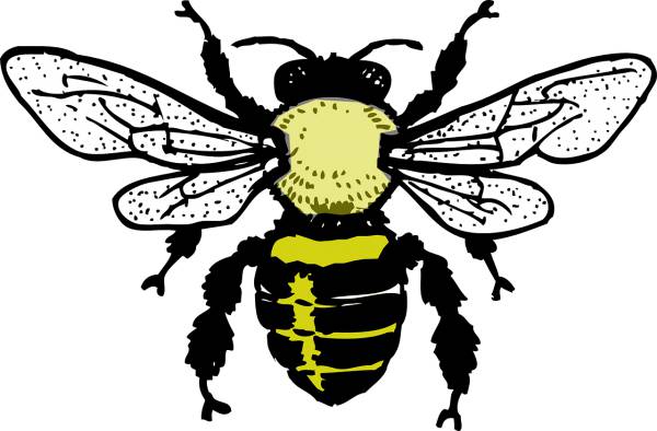 honey bee bee honey hive insect  svg vector cut file