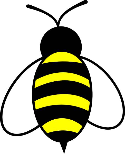 honey bee bug insect buzz yellow  svg vector cut file