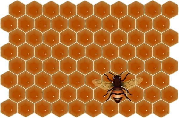 honey bee flying work insect  svg vector cut file