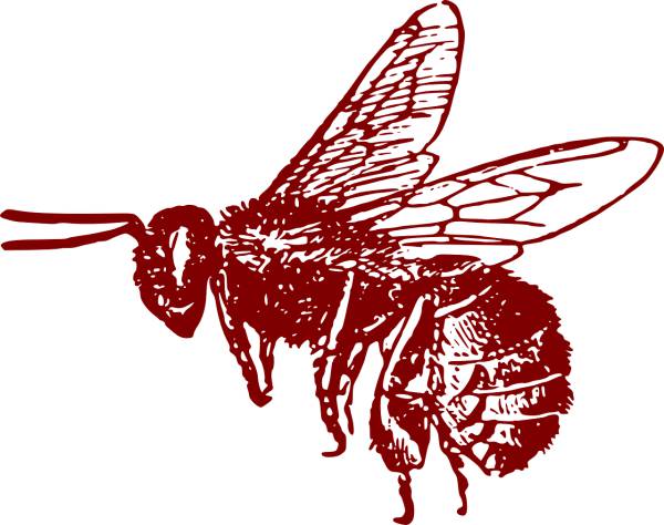 honeybee bee insect pollen  svg vector cut file