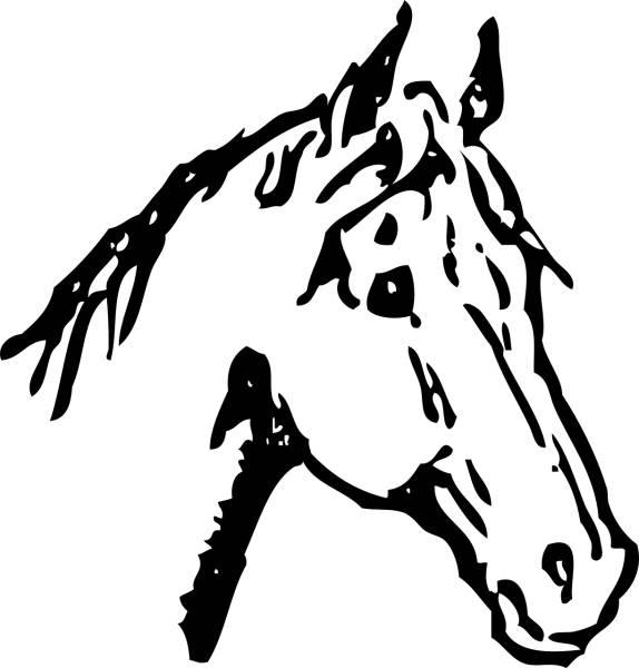horse mane stallion pony  svg vector cut file