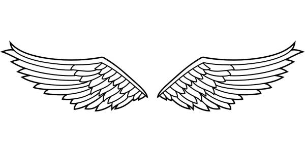 insignia wings eagle bird symbol  svg vector cut file