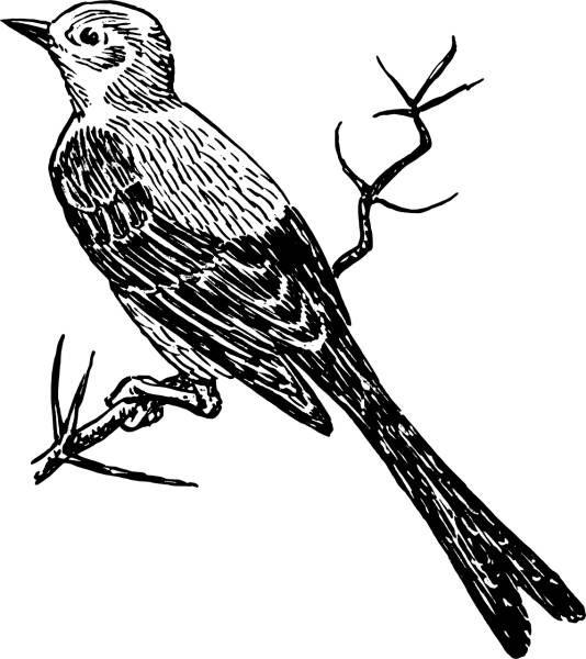 martin swallow bird animal biology  svg vector cut file