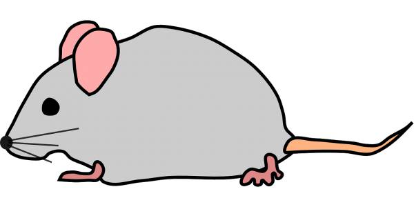 mice mouse rat animal gray cute  svg vector cut file