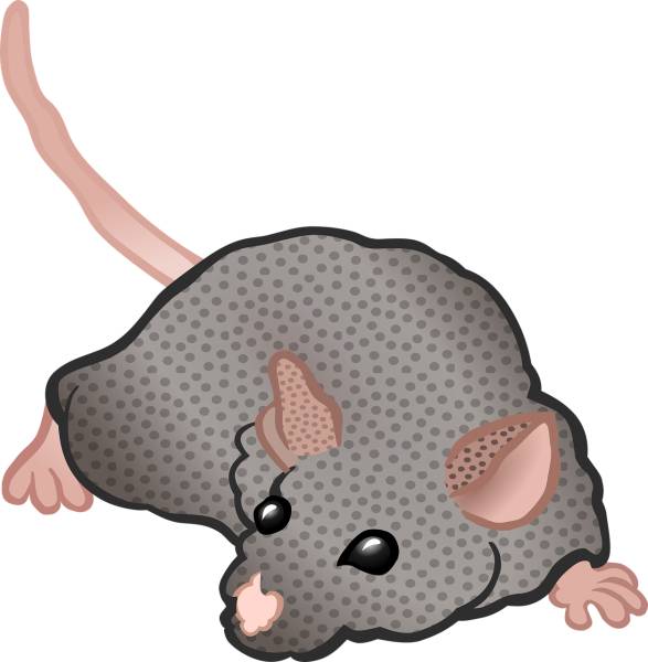 mouse animal rodent cartoon grey  svg vector cut file