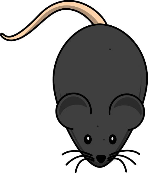 mouse rodent black animal cute  svg vector cut file