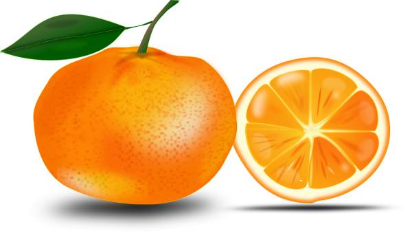 orange fruit food juicy citrus  svg vector cut file