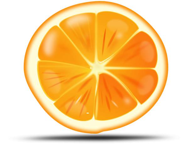 orange fruit food sliced juicy  svg vector cut file