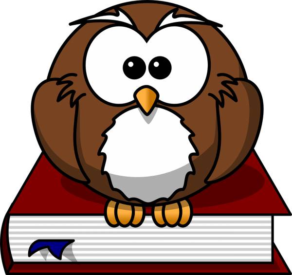 owl bird book wise wisdom scholar  svg vector cut file