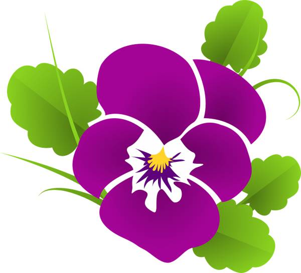 pansy violet viola violaceae  svg vector cut file