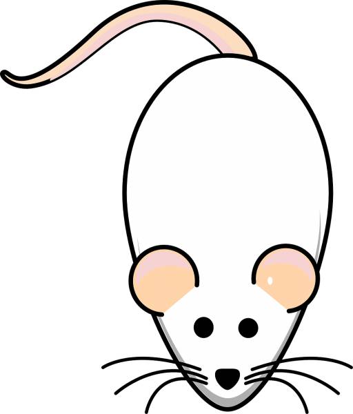 rat mouse white albino animal  svg vector cut file